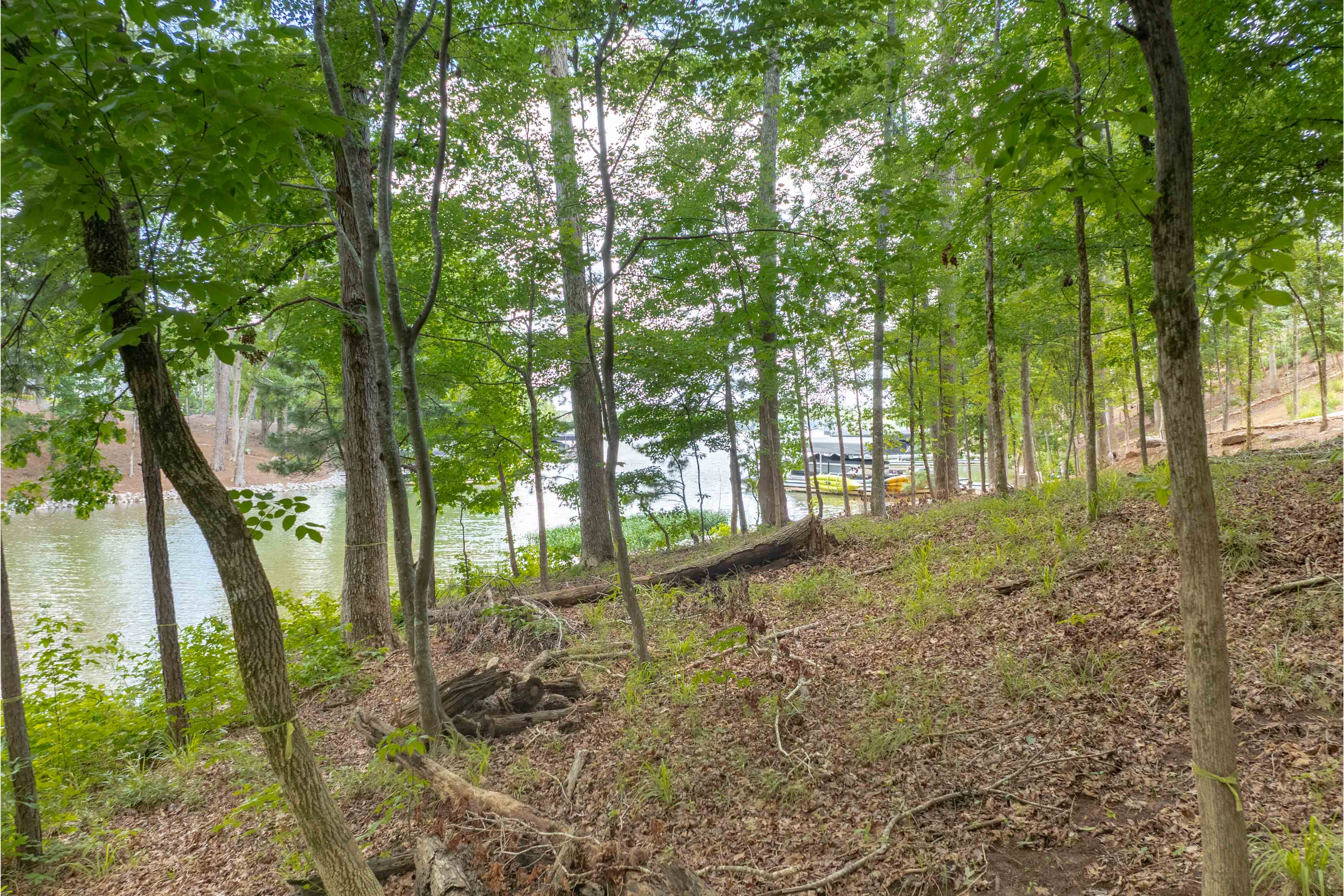 1100 High Bluff Lane image 14